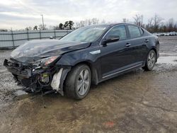 KIA Optima Hybrid salvage cars for sale: 2015 KIA Optima Hybrid