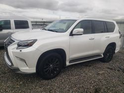 Salvage cars for sale at Reno, NV auction: 2023 Lexus GX 460