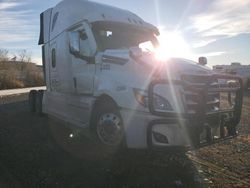 Salvage trucks for sale at Billings, MT auction: 2023 Freightliner Cascadia 126