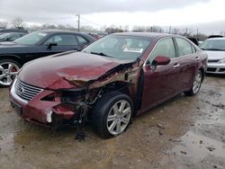 Salvage cars for sale at Louisville, KY auction: 2008 Lexus ES 350