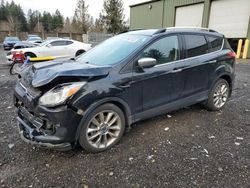 Salvage cars for sale at Graham, WA auction: 2016 Ford Escape SE