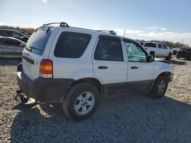 2006 Ford Escape XLT