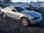 2009 Ford Mustang