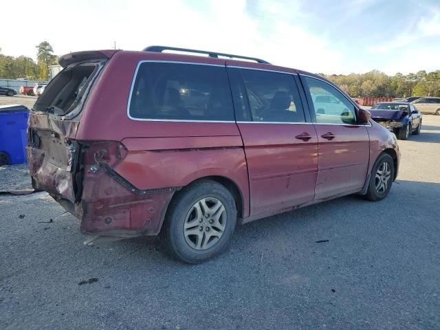 2005 Honda Odyssey EXL