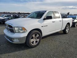 Salvage cars for sale at Antelope, CA auction: 2010 Dodge RAM 1500