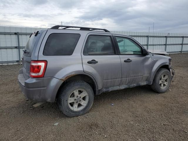 2008 Ford Escape XLT