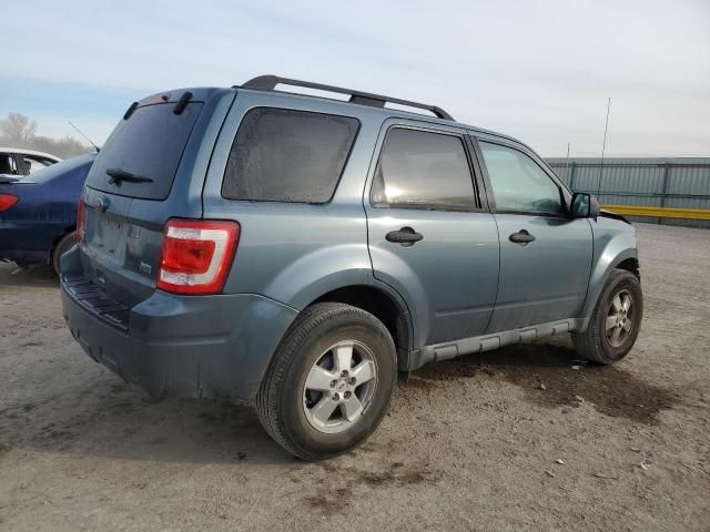 2010 Ford Escape XLT