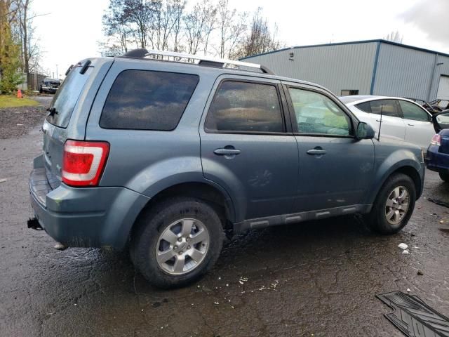 2010 Ford Escape Limited