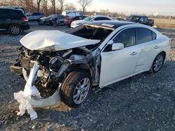 Salvage cars for sale at Cicero, IN auction: 2014 Nissan Maxima S