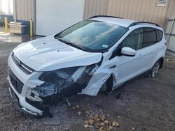 Salvage cars for sale at Kansas City, KS auction: 2014 Ford Escape SE