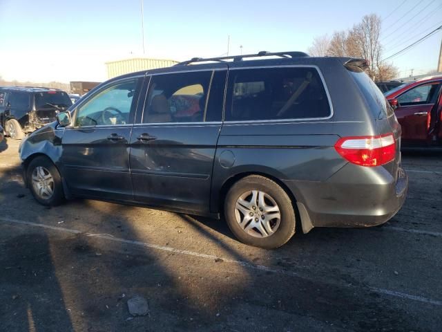 2005 Honda Odyssey EXL