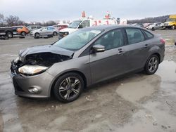 Salvage cars for sale at Cahokia Heights, IL auction: 2014 Ford Focus SE
