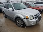 2008 Ford Escape Limited