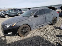 Salvage cars for sale at Reno, NV auction: 2015 KIA Optima EX