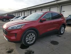 Ford Escape SE salvage cars for sale: 2020 Ford Escape SE