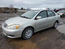 Salvage cars for sale from Copart Columbia Station, OH: 2003 Toyota Corolla CE