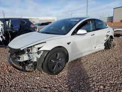 Salvage cars for sale at Phoenix, AZ auction: 2023 Tesla Model 3