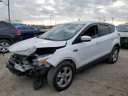 2014 Ford Escape SE en venta en Indianapolis, IN