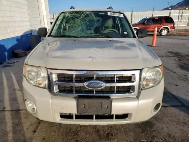 2008 Ford Escape XLT