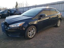 Ford Focus SE Vehiculos salvage en venta: 2017 Ford Focus SE