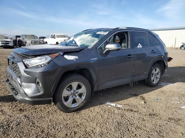 2019 Toyota Rav4 XLE