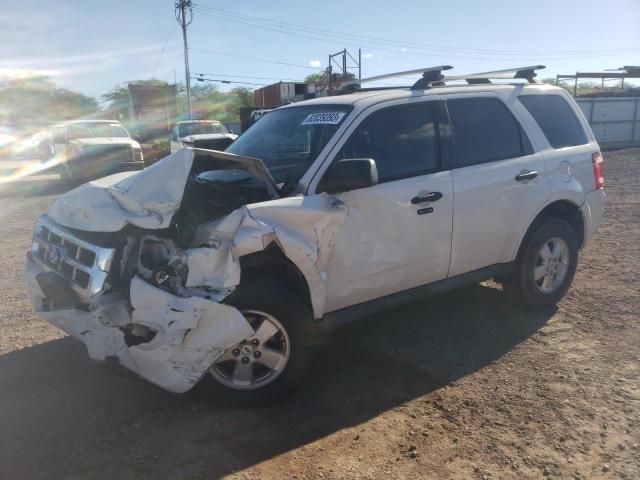 2011 Ford Escape XLT