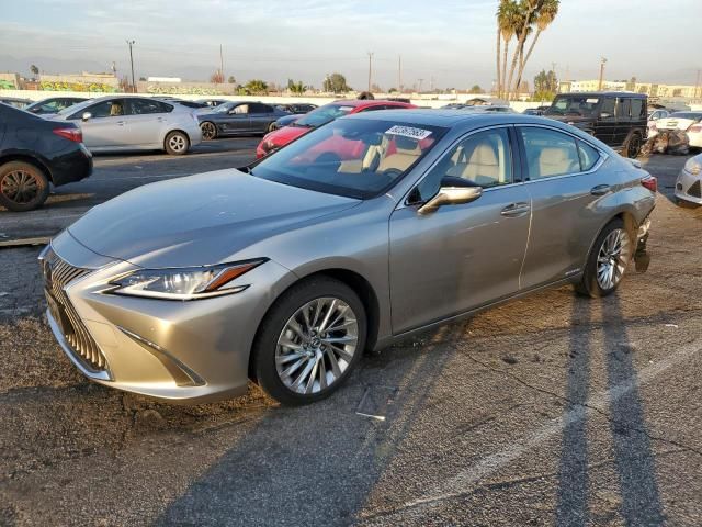 2019 Lexus ES 300H