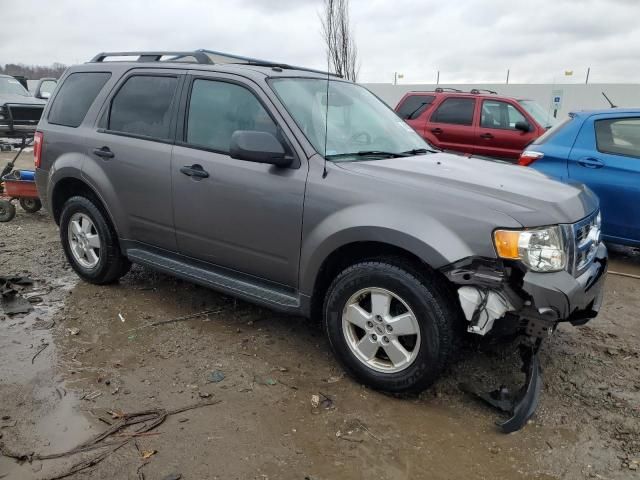 2012 Ford Escape XLT