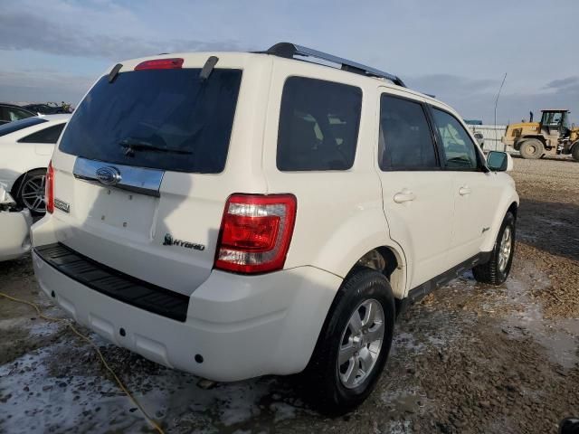 2009 Ford Escape Hybrid