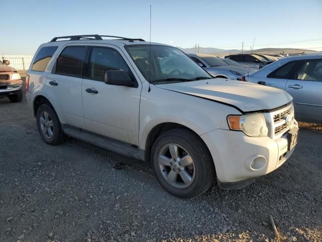 2009 Ford Escape XLT