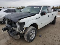 Salvage cars for sale from Copart Houston, TX: 2013 Ford F150 Supercrew