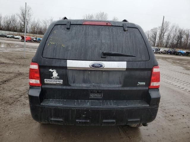 2010 Ford Escape Limited