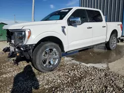 Salvage cars for sale at Magna, UT auction: 2023 Ford F150 Supercrew