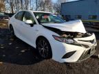 2019 Toyota Camry Hybrid