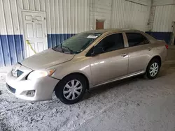 Toyota salvage cars for sale: 2010 Toyota Corolla Base