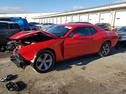 2019 Dodge Challenger SXT en venta en Louisville, KY