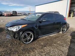 Salvage cars for sale at Helena, MT auction: 2013 Hyundai Veloster Turbo