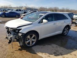 Salvage cars for sale at Louisville, KY auction: 2013 Toyota Venza LE