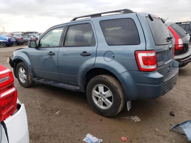 2010 Ford Escape XLT