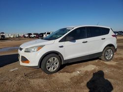 Salvage cars for sale from Copart Amarillo, TX: 2016 Ford Escape S