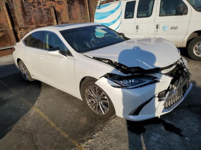 2019 Lexus ES 300H