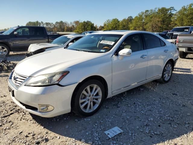 2010 Lexus ES 350