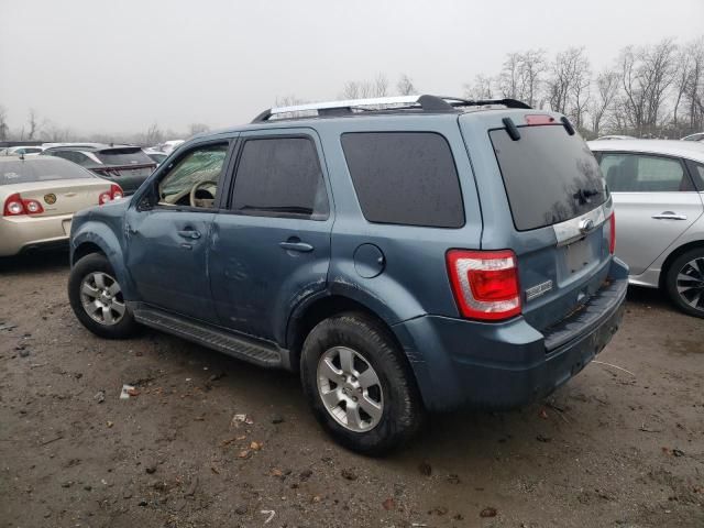 2011 Ford Escape Limited