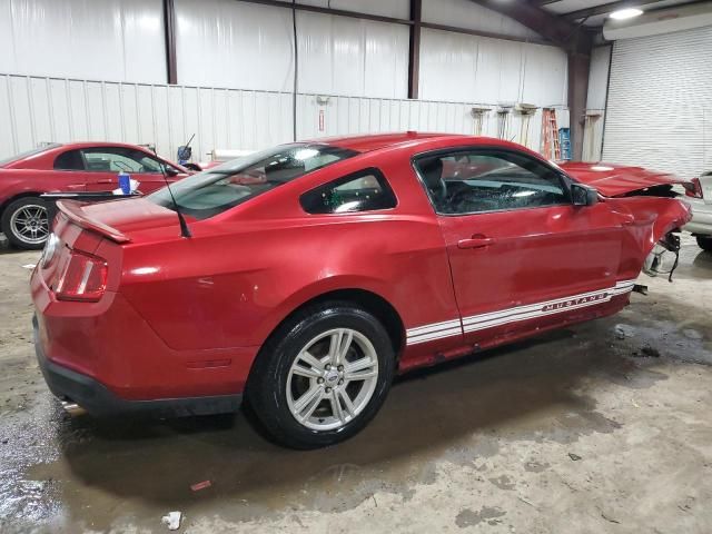 2010 Ford Mustang