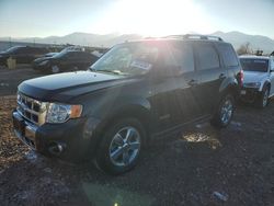 Ford salvage cars for sale: 2008 Ford Escape Limited