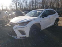 Salvage cars for sale at Waldorf, MD auction: 2019 Lexus NX 300 Base