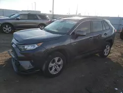 Toyota salvage cars for sale: 2019 Toyota Rav4 XLE