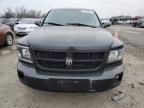 2011 Dodge Dakota SLT