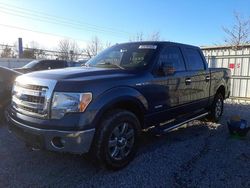 Salvage cars for sale at Walton, KY auction: 2014 Ford F150 Supercrew