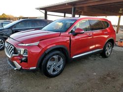 Hyundai Santa FE Vehiculos salvage en venta: 2021 Hyundai Santa FE SEL